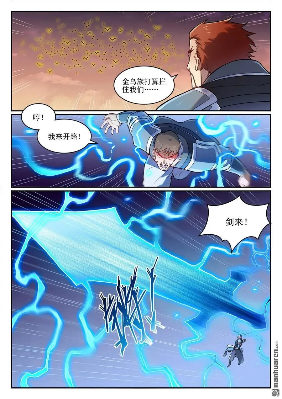 第1187回 大战金鸟 第12页