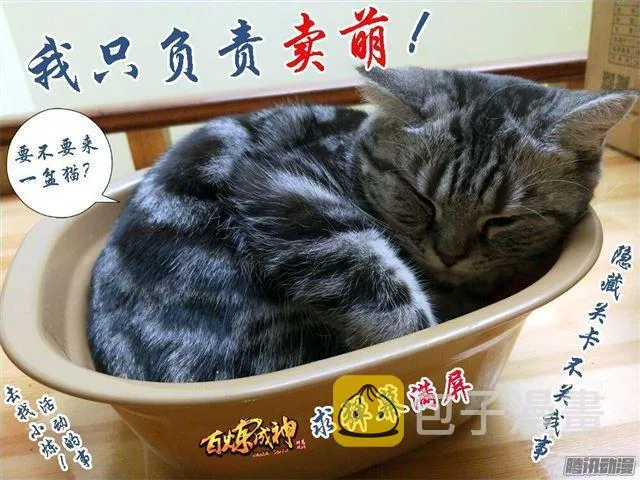第168话 狮子搏兔 第18页