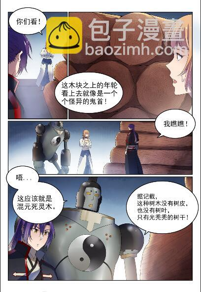 第570话 星璇精铁 第4页