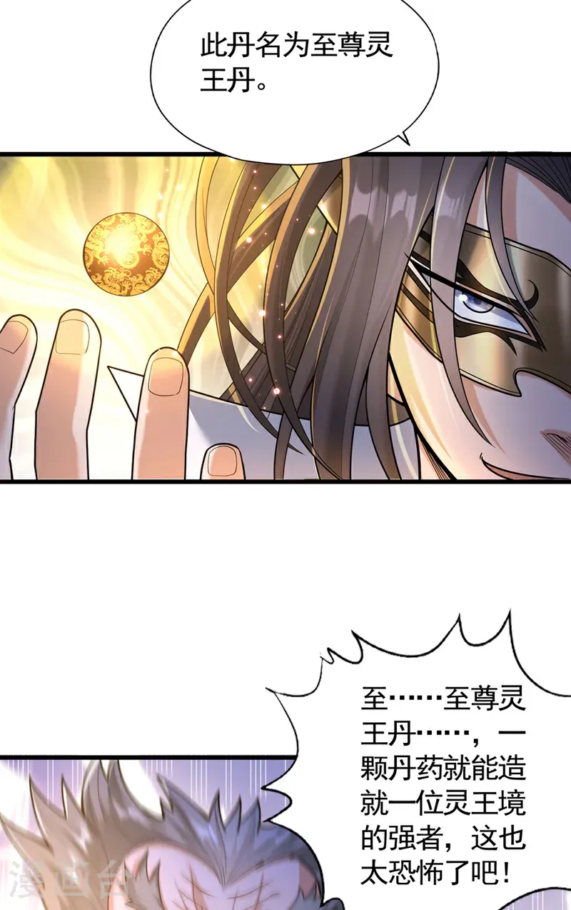 第419话 这是…至尊灵王丹！ 第14页
