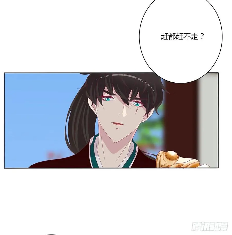 赶都赶不走！ 第41页