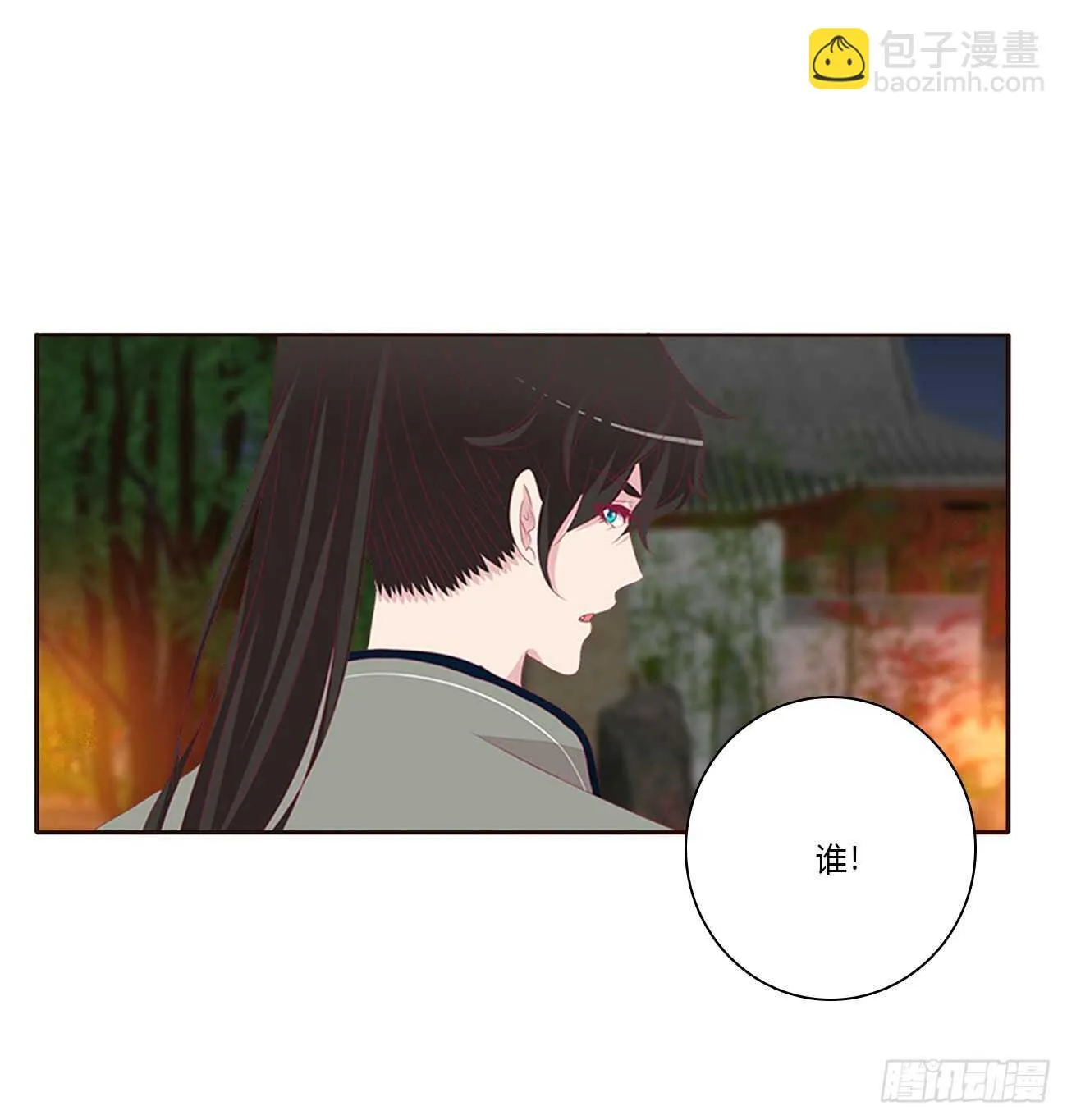 将军的质问 第41页