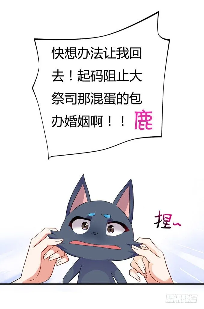 开黄腔的狐狸！ 第66页
