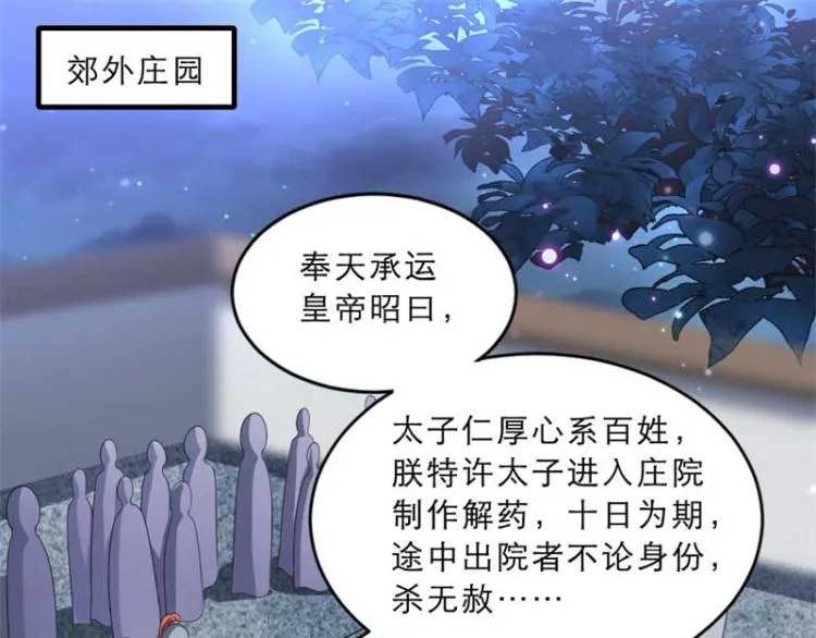 第33话 本宫的小贝子有大能耐 第5页