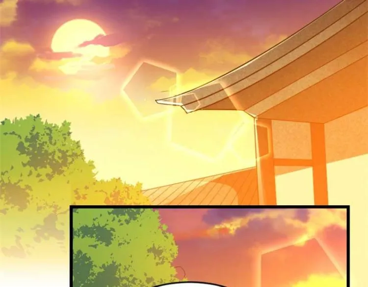 第33话 本宫的小贝子有大能耐 第51页