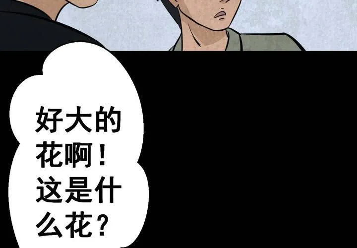 第45话 雷公花-今生（上） 第37页