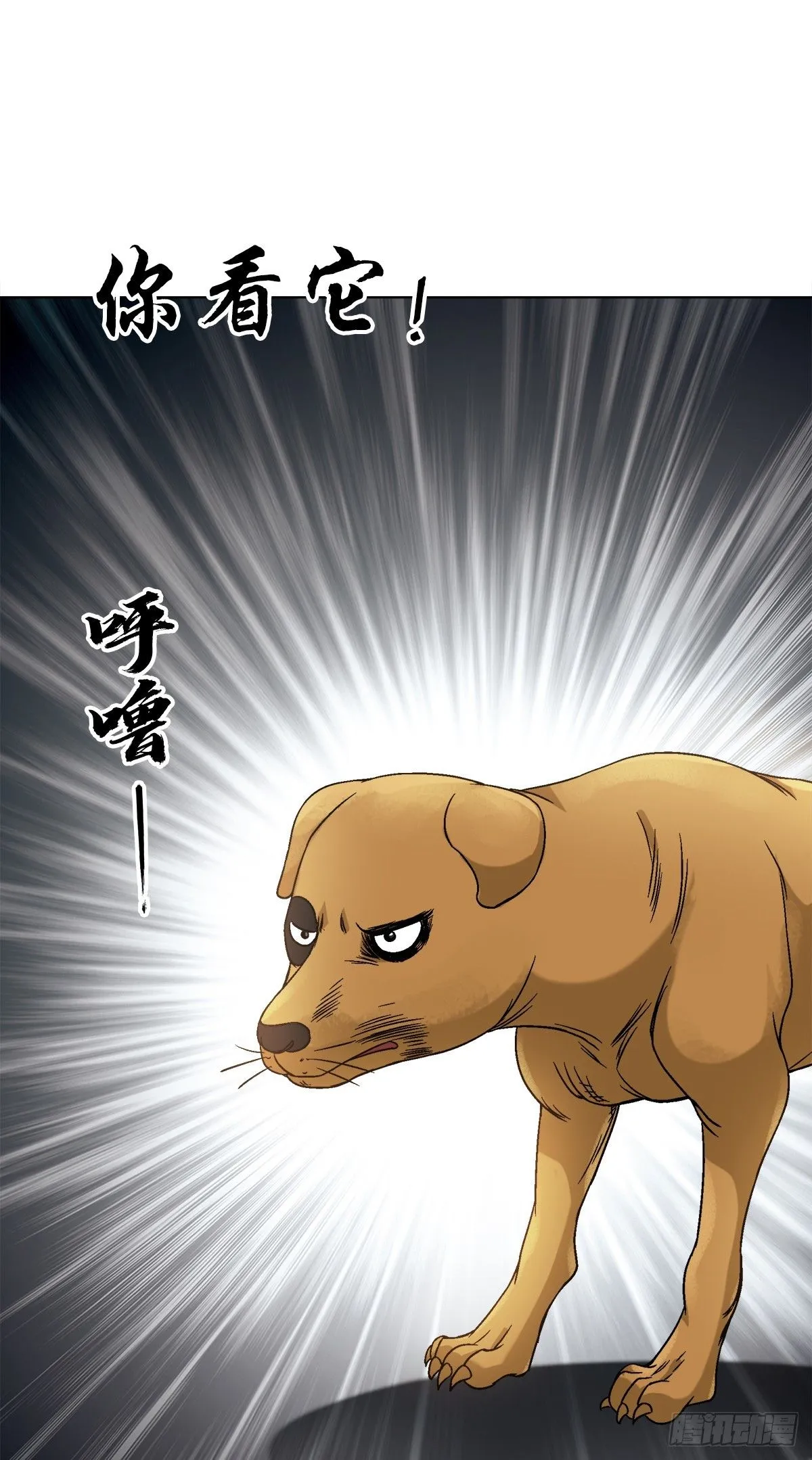 1541 手术成功 第3页