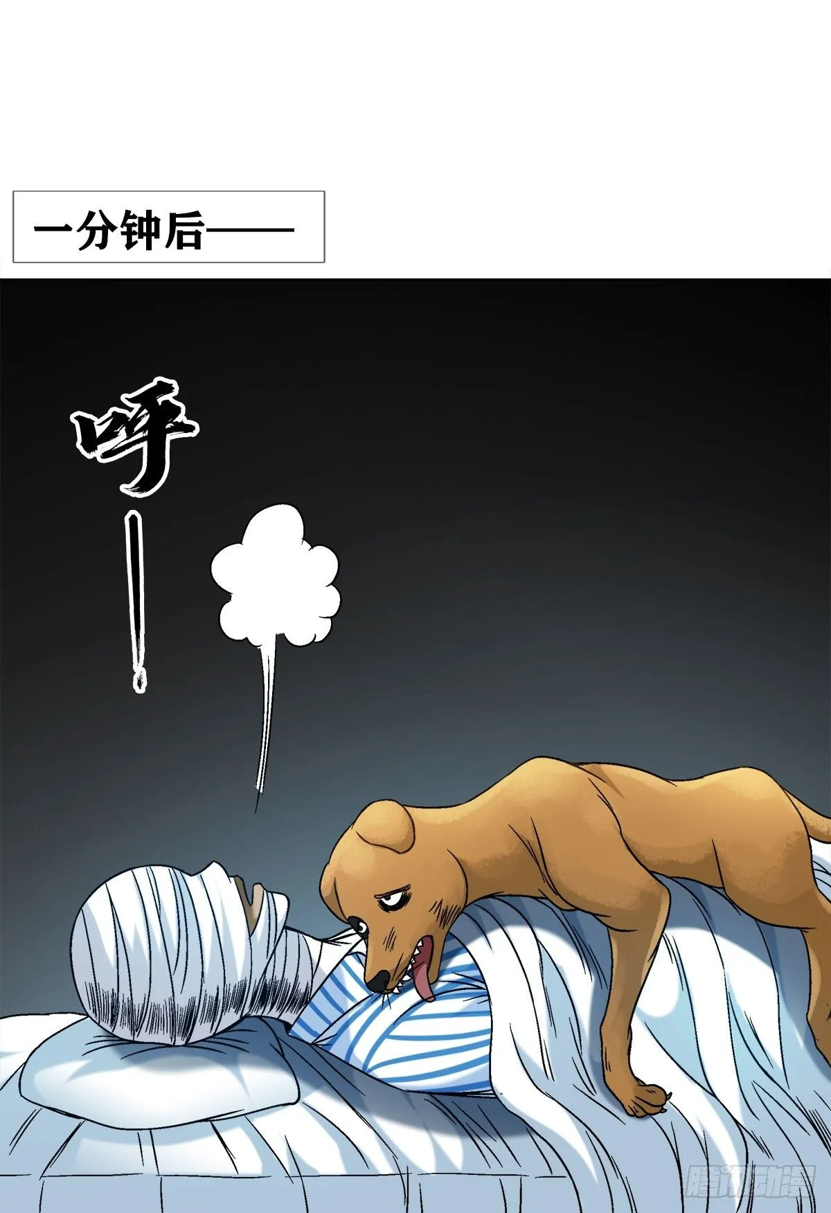 1541 手术成功 第5页