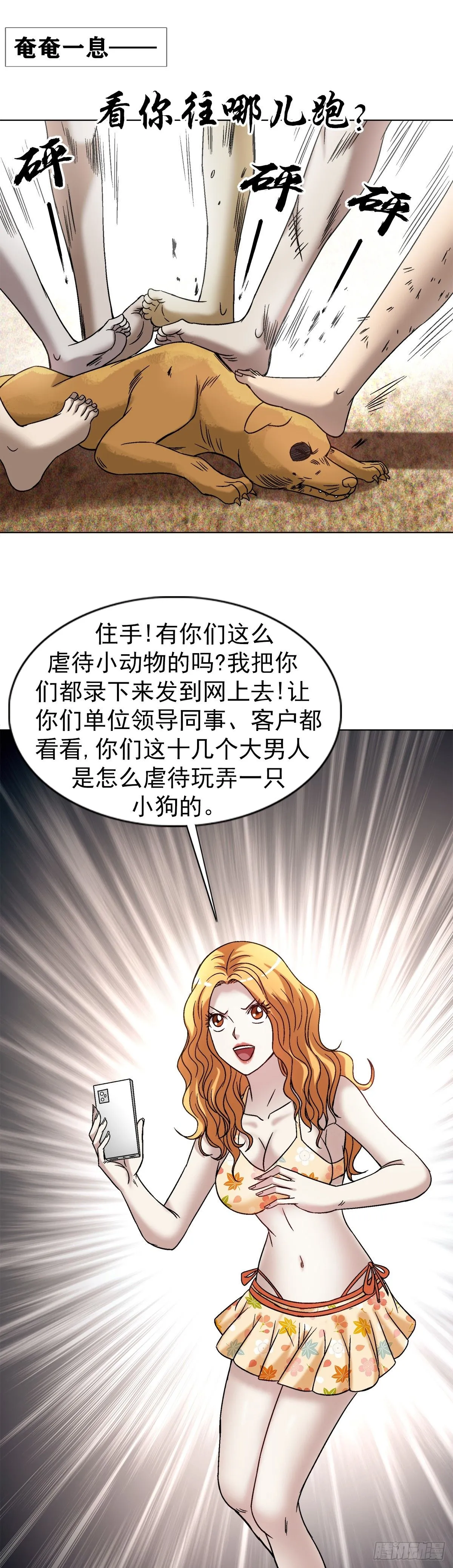 1537 土狗 第17页