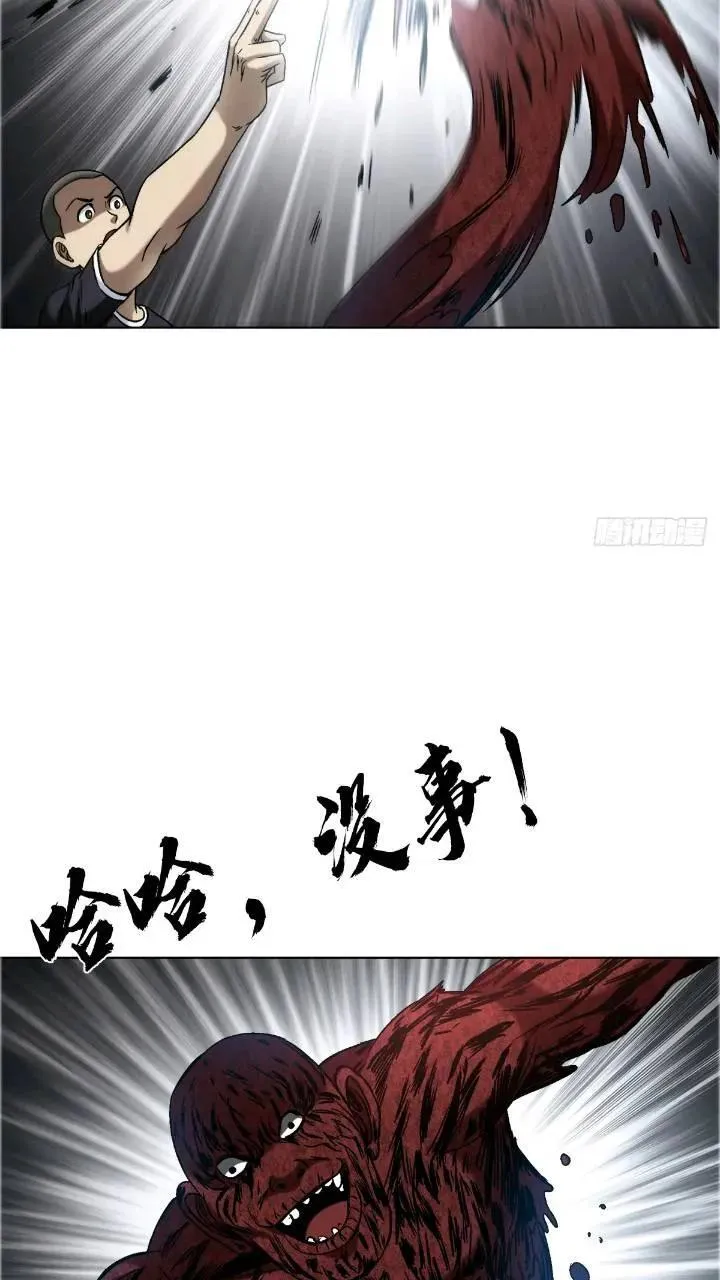 1560 四大金刚 第5页