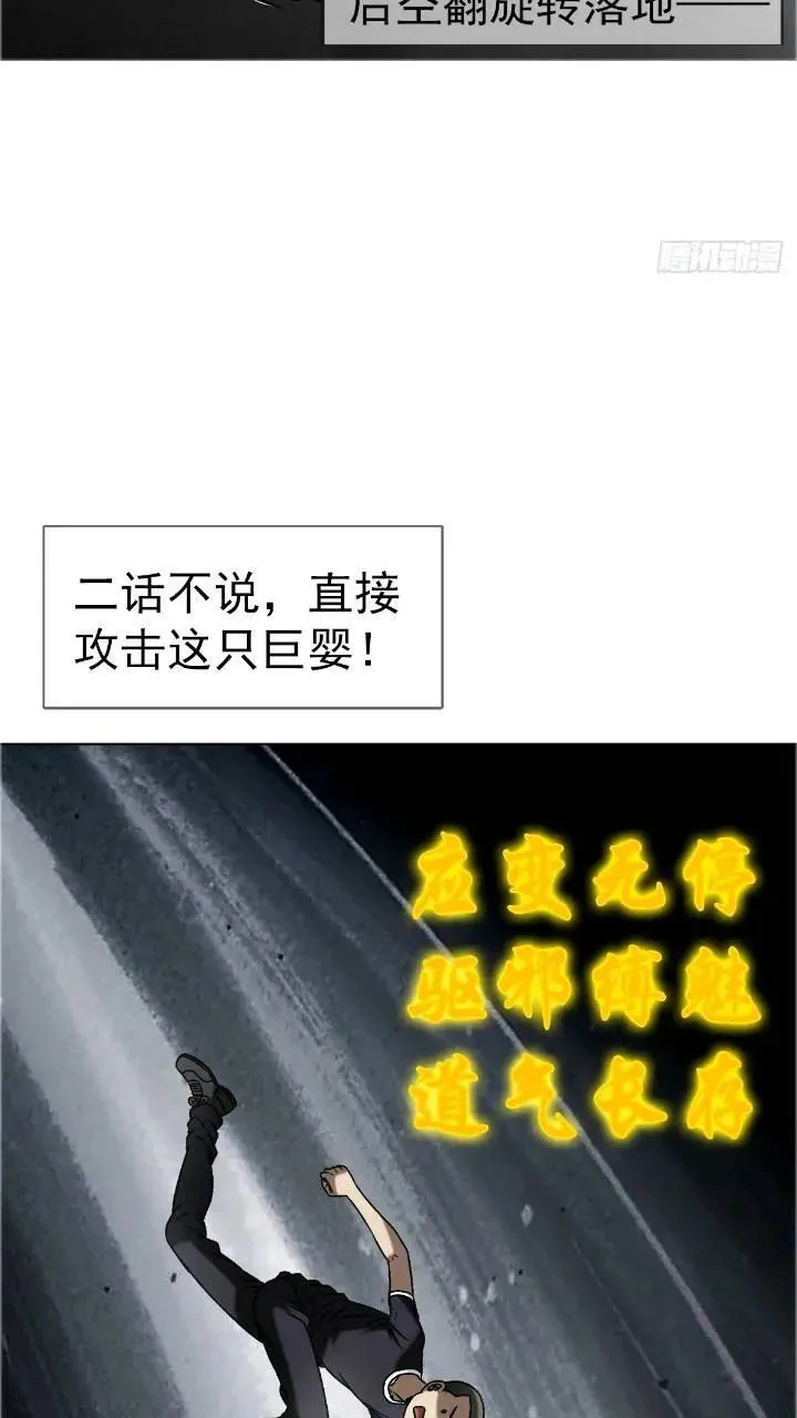 1560 四大金刚 第75页