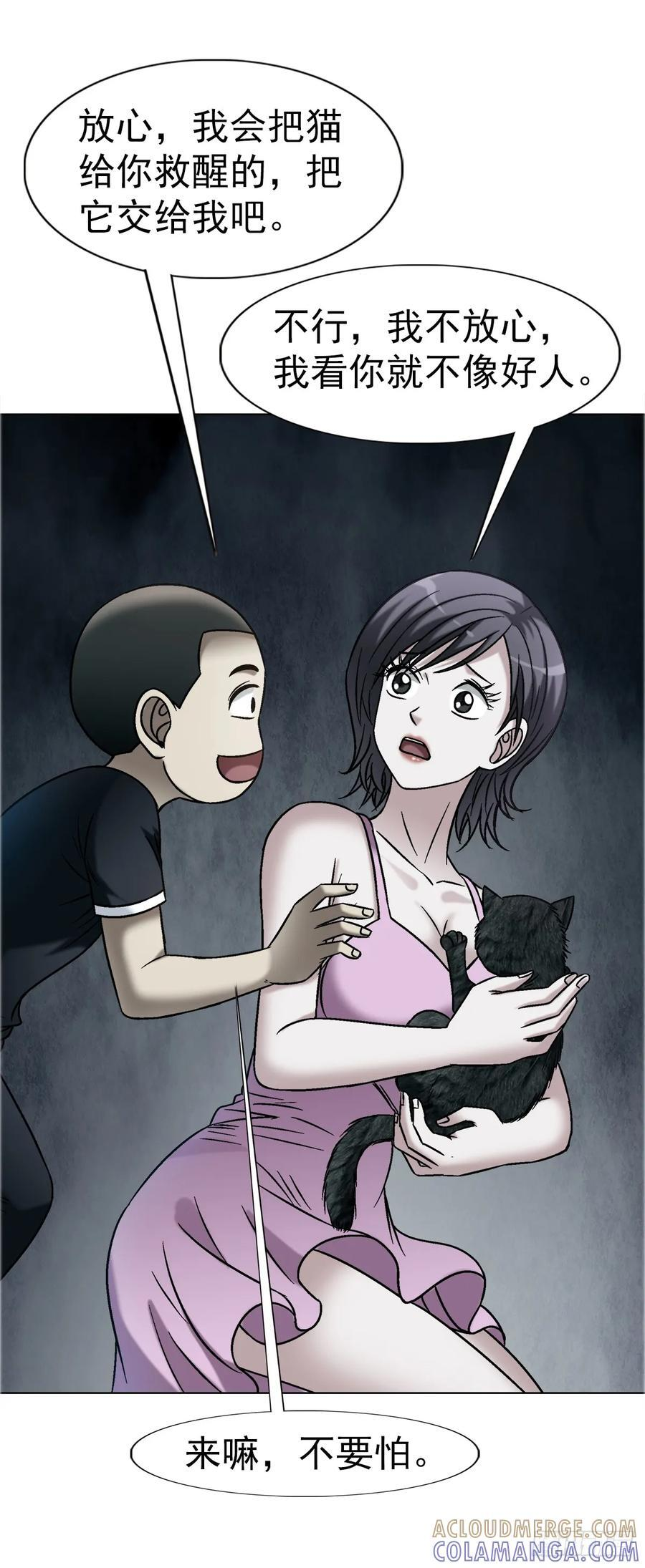 1747 黑猫 第13页