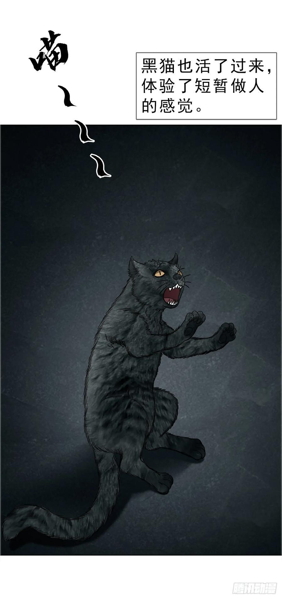 1747 黑猫 第36页