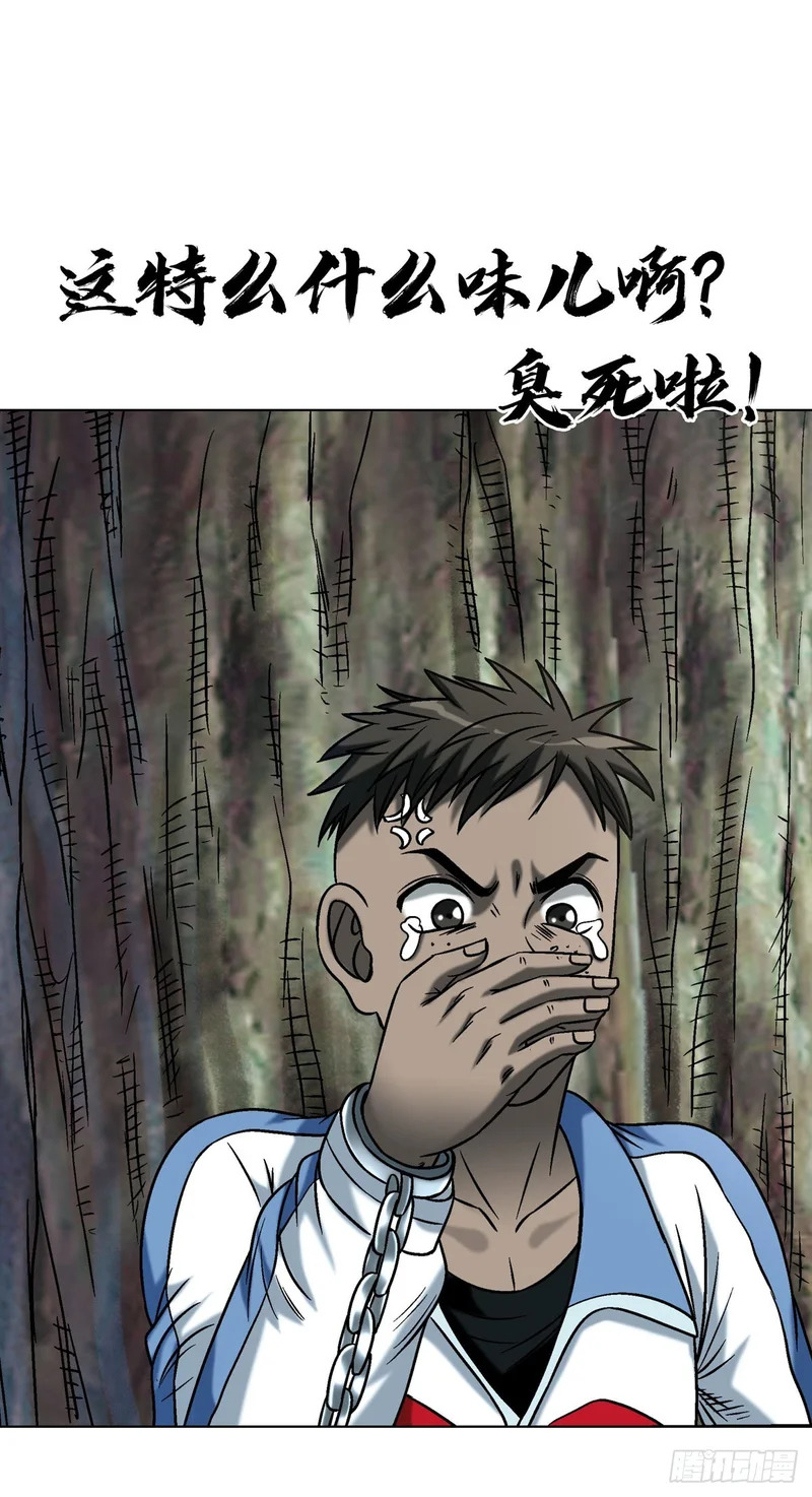 1775 中毒计 第44页