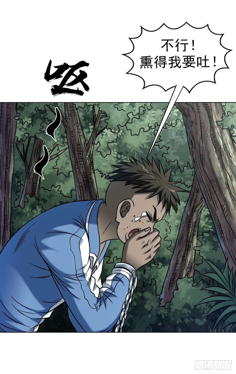 1775 中毒计 第46页
