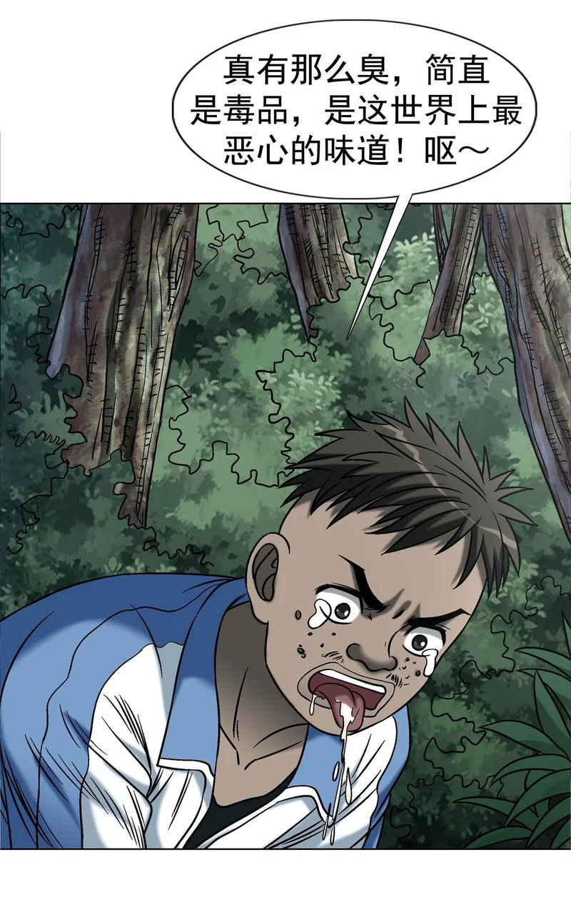 1775 中毒计 第50页