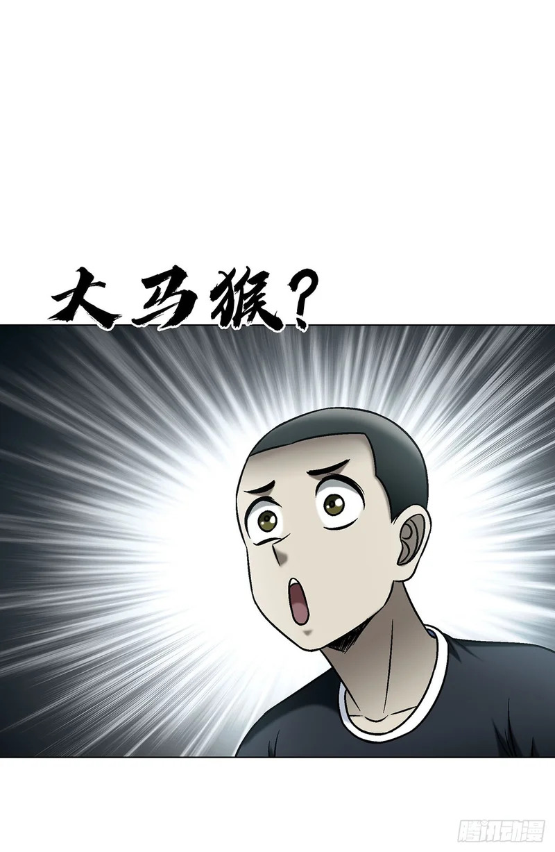 1794 耍猴 第24页