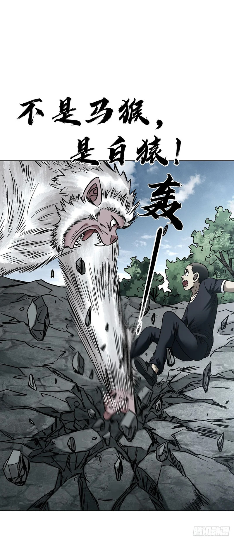 1794 耍猴 第25页