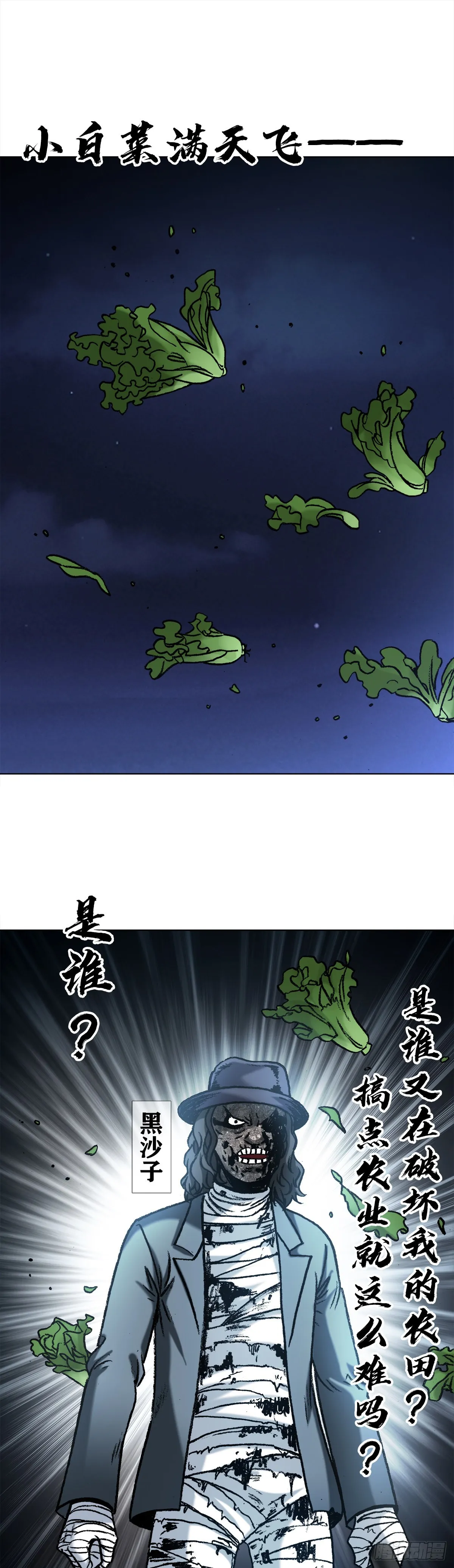 1335 赊刀门大战五鬼门 第11页