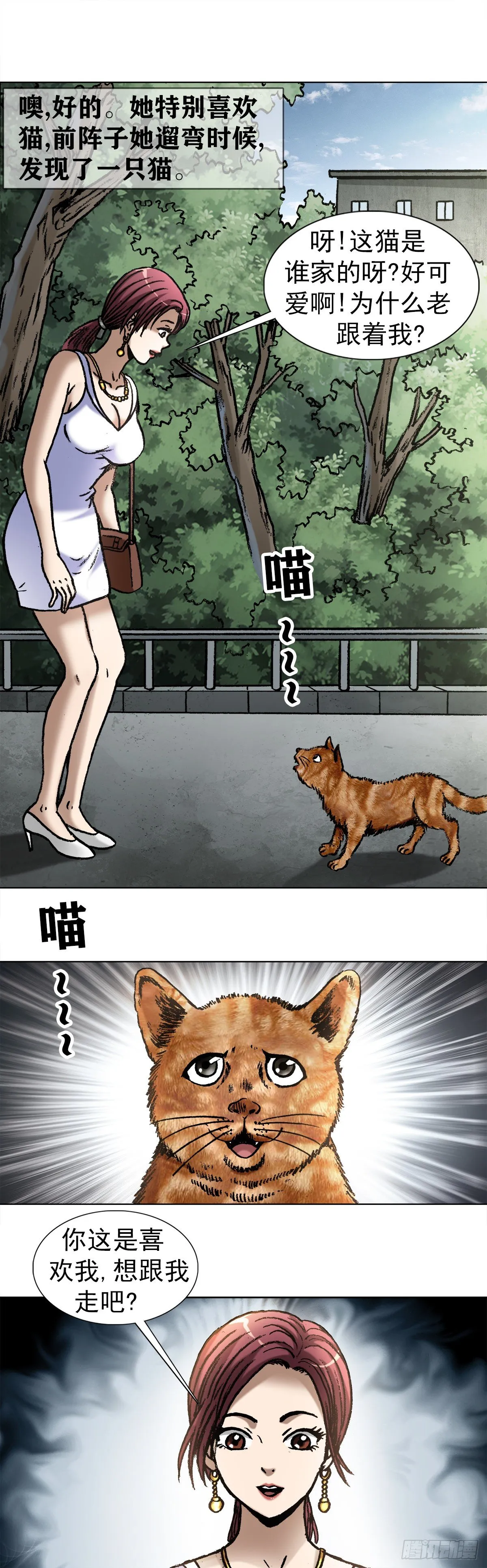 1019 猫 第8页