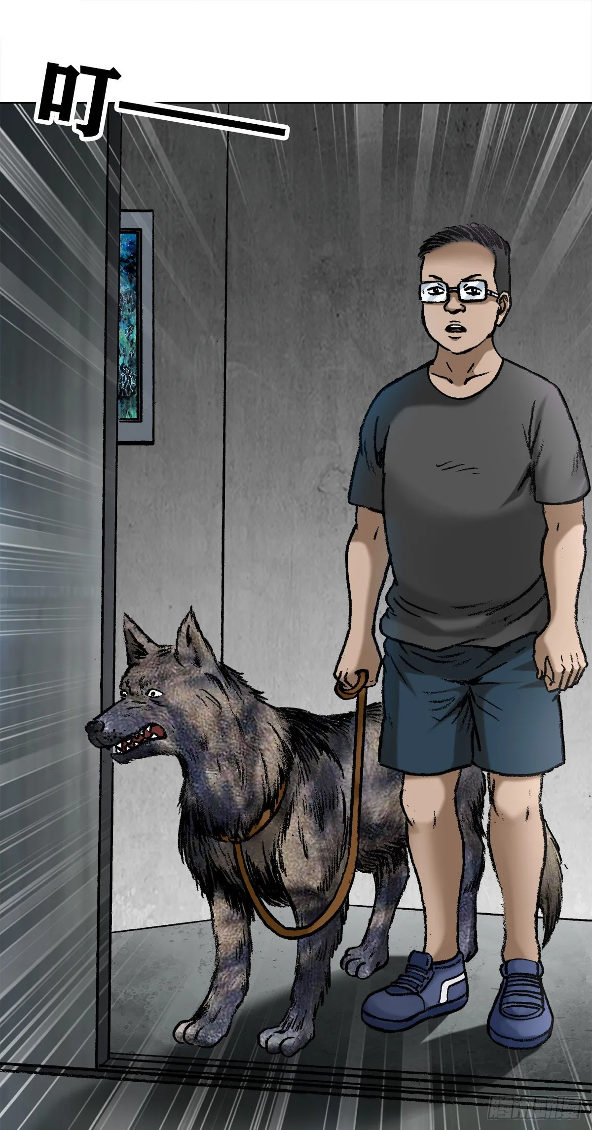 1019 猫 第11页