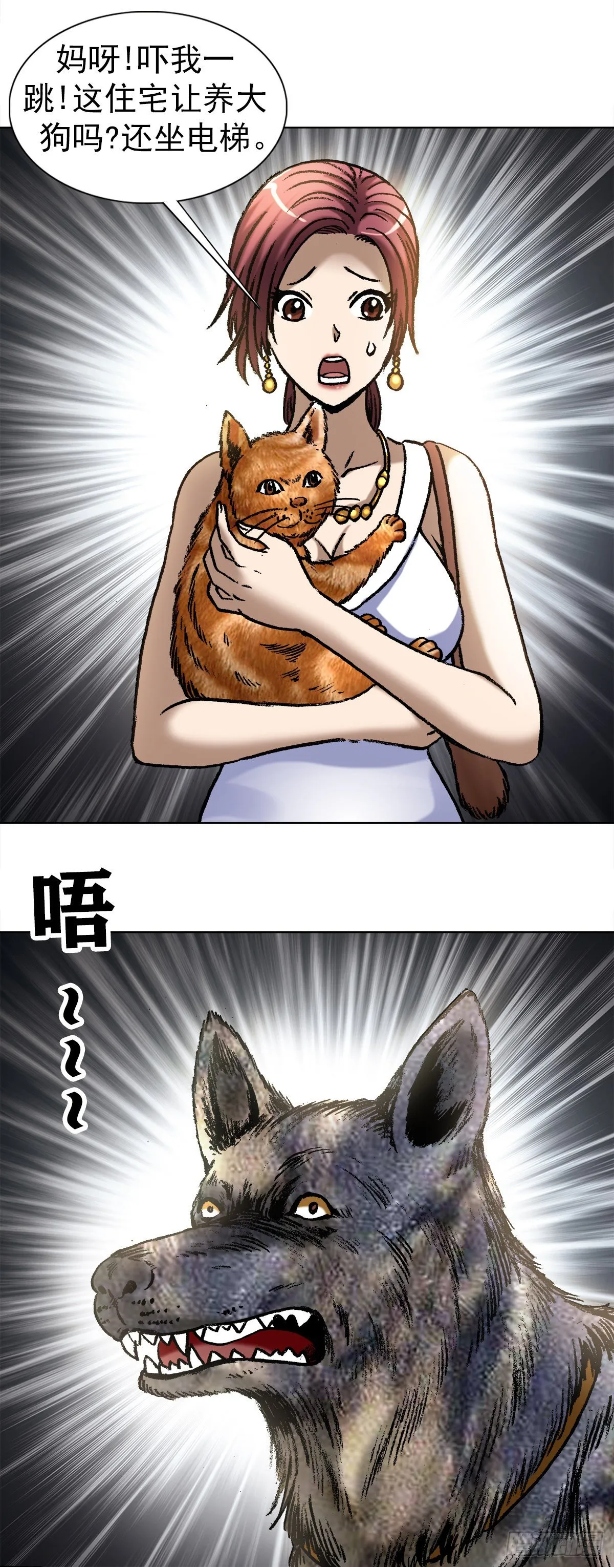 1019 猫 第12页