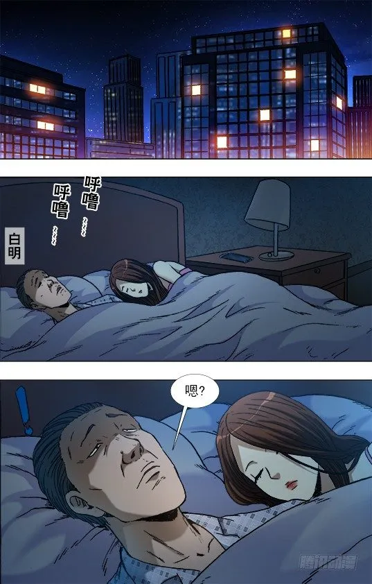 864 赝品专家 第1页
