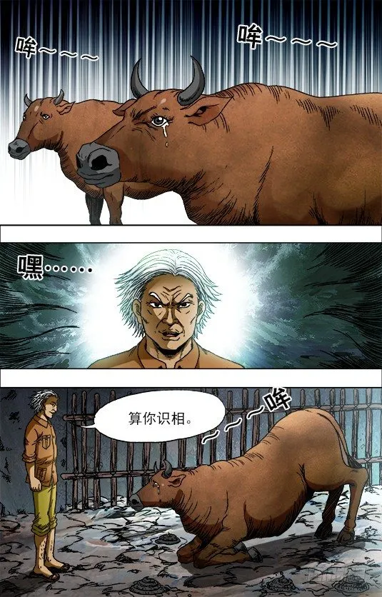 705 生吃牛肉 第3页
