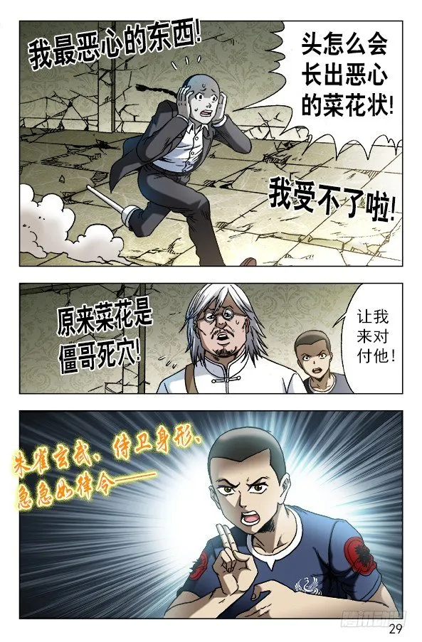 636 菊花与菜花 第7页