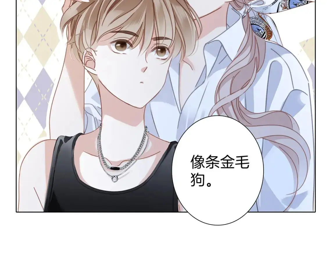 55：绯闻 第11页