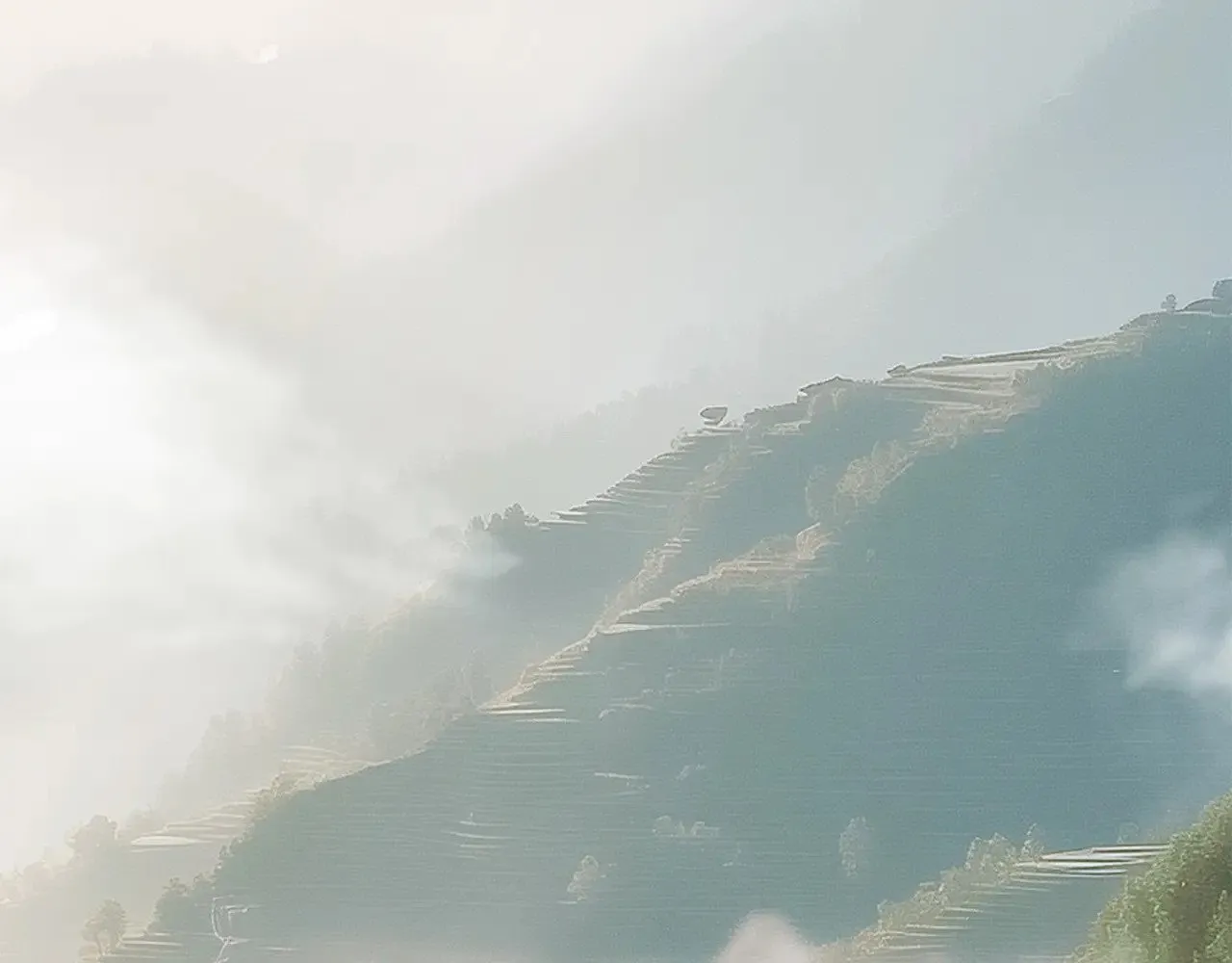74:相思红豆 第30页