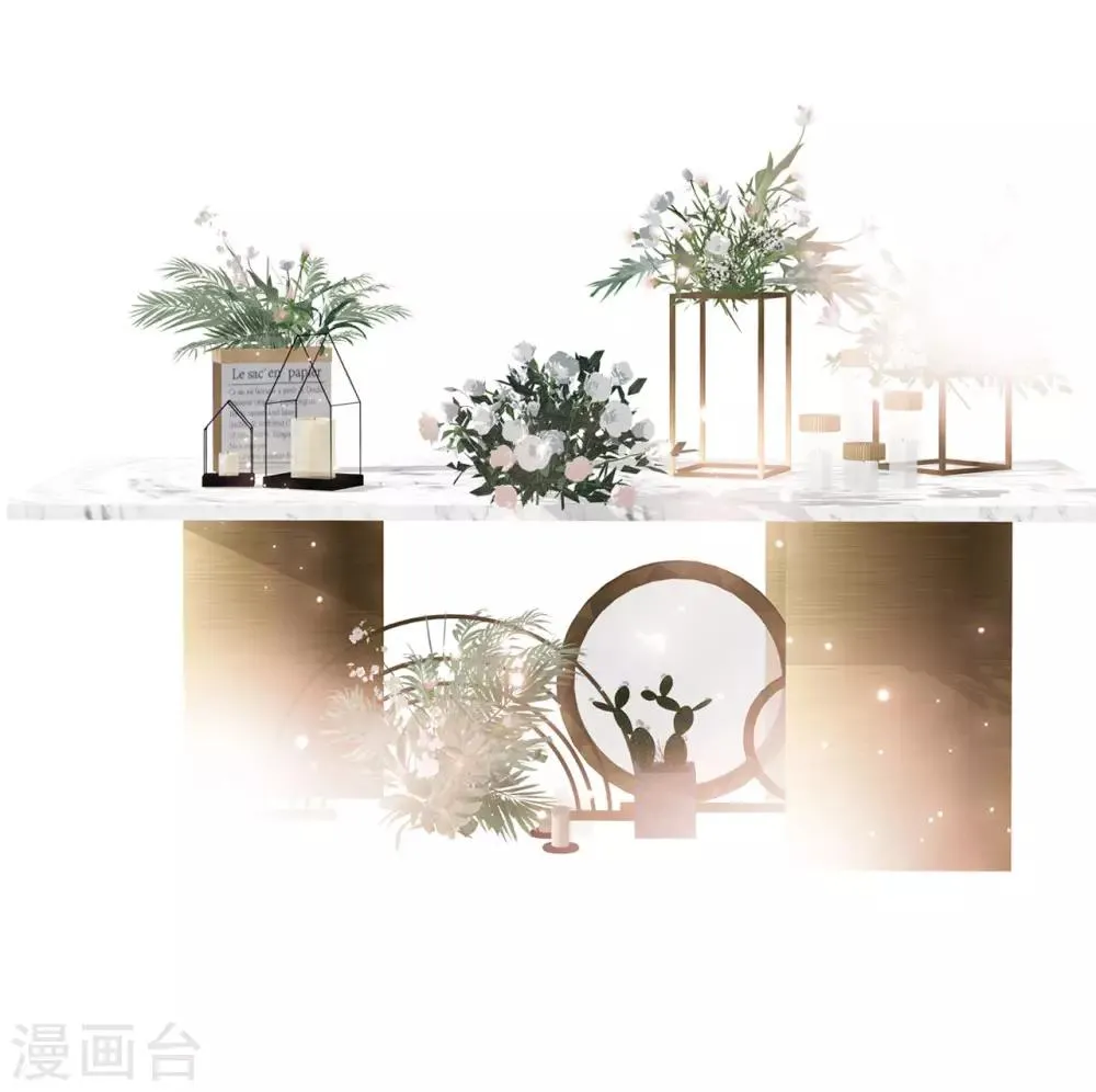 第22话 蝴蝶的晚宴 第2页