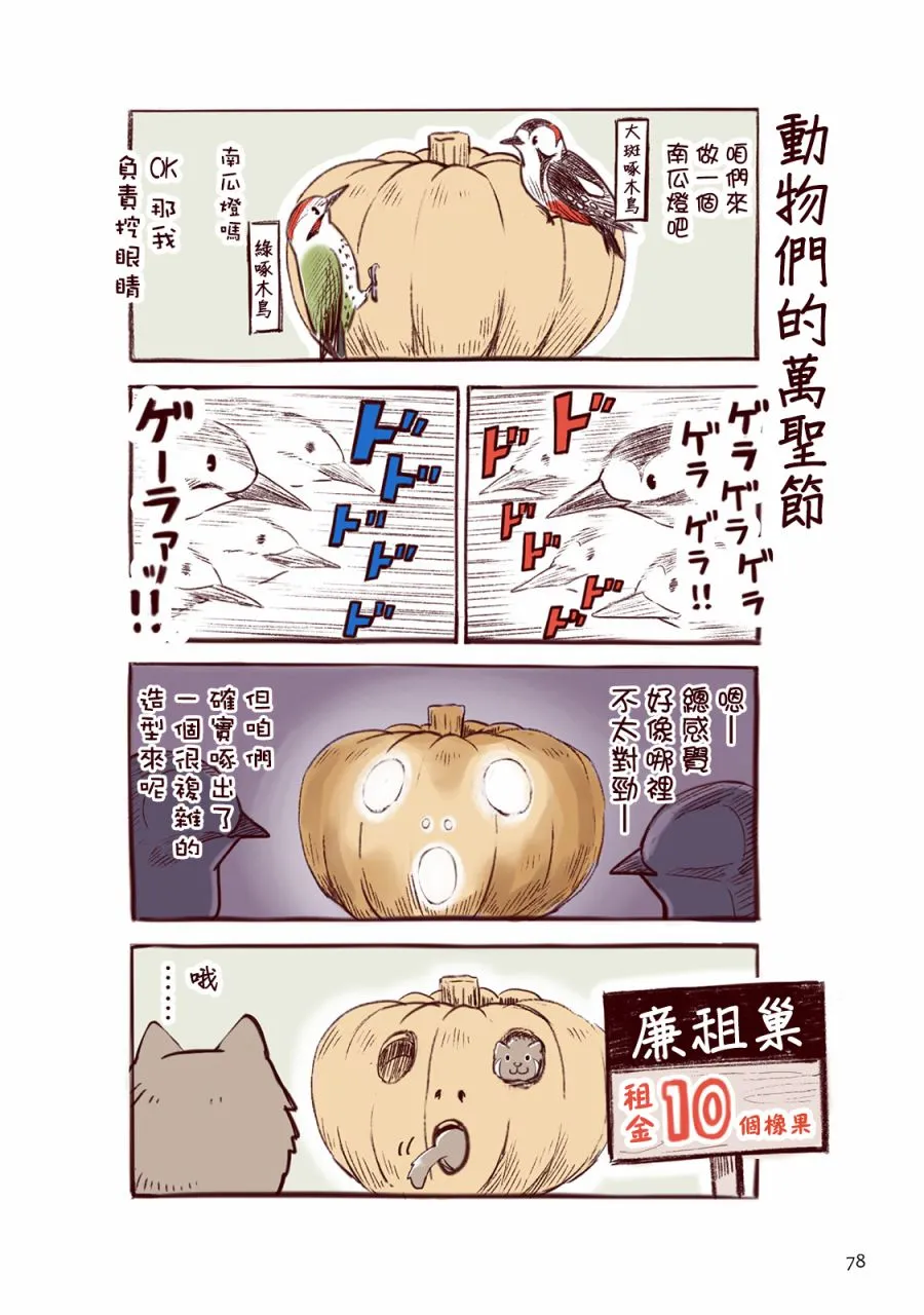 秋 第13页
