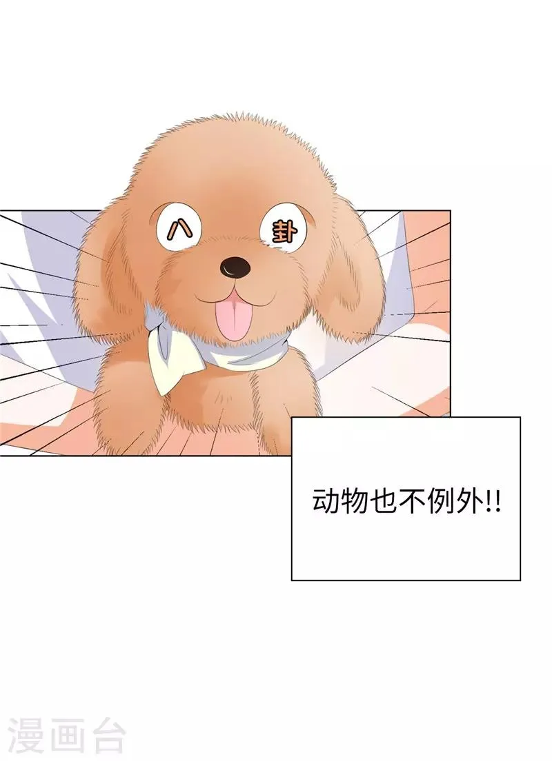 第23话 实力KO！ 第9页