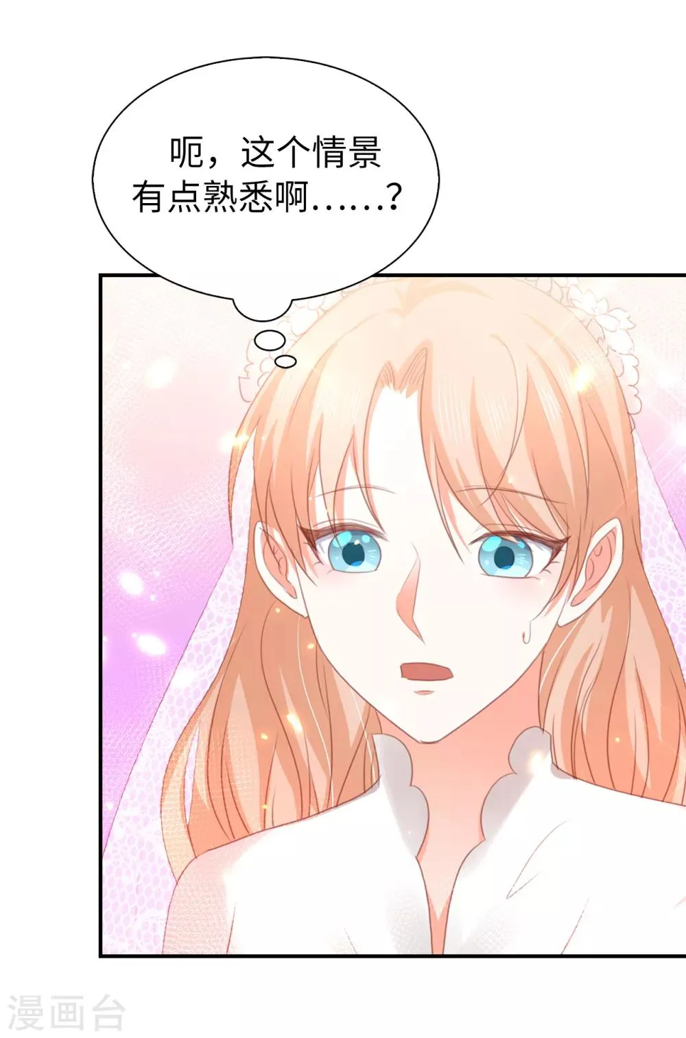 最终话 再举办一次婚礼 第28页