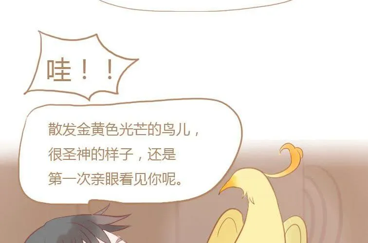 第十九话 决定 第41页