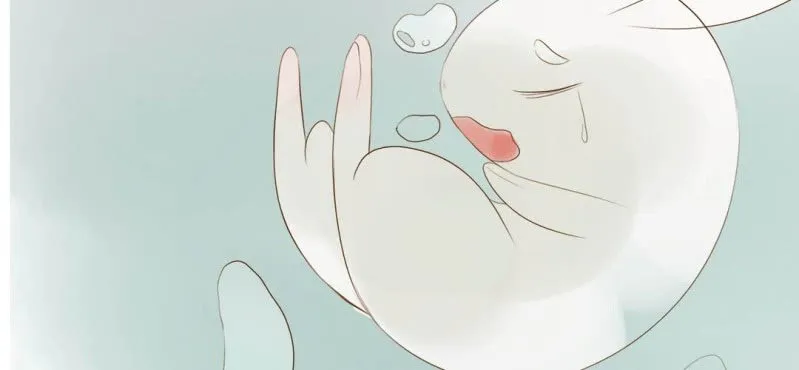 第七话 （下）兔子 第32页