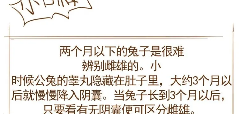 第七话 （下）兔子 第94页