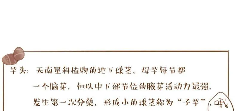 第三话 芋头（下） 第112页