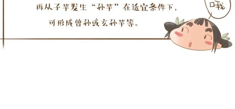 第三话 芋头（下） 第113页
