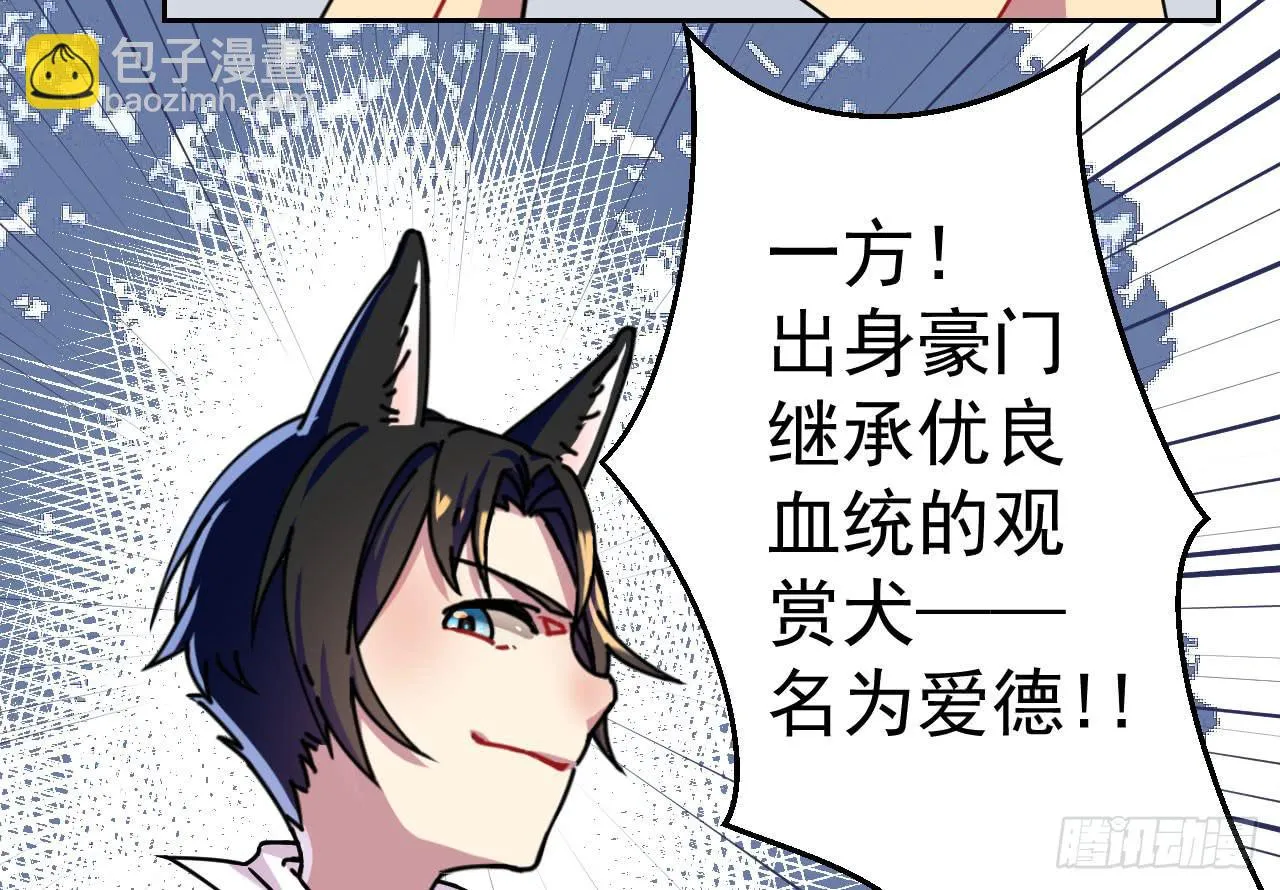 1.天狼 第4页