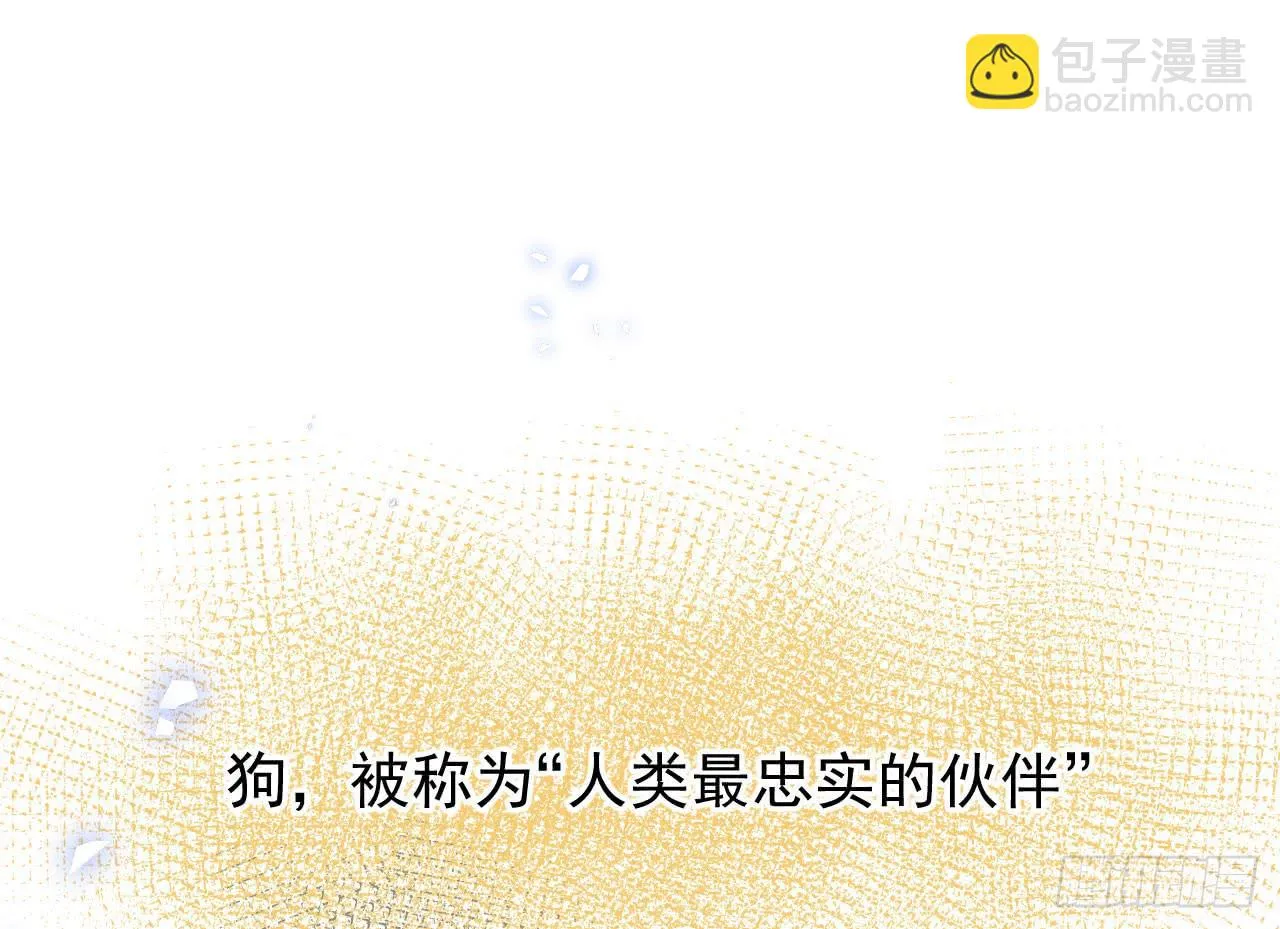 1.天狼 第15页