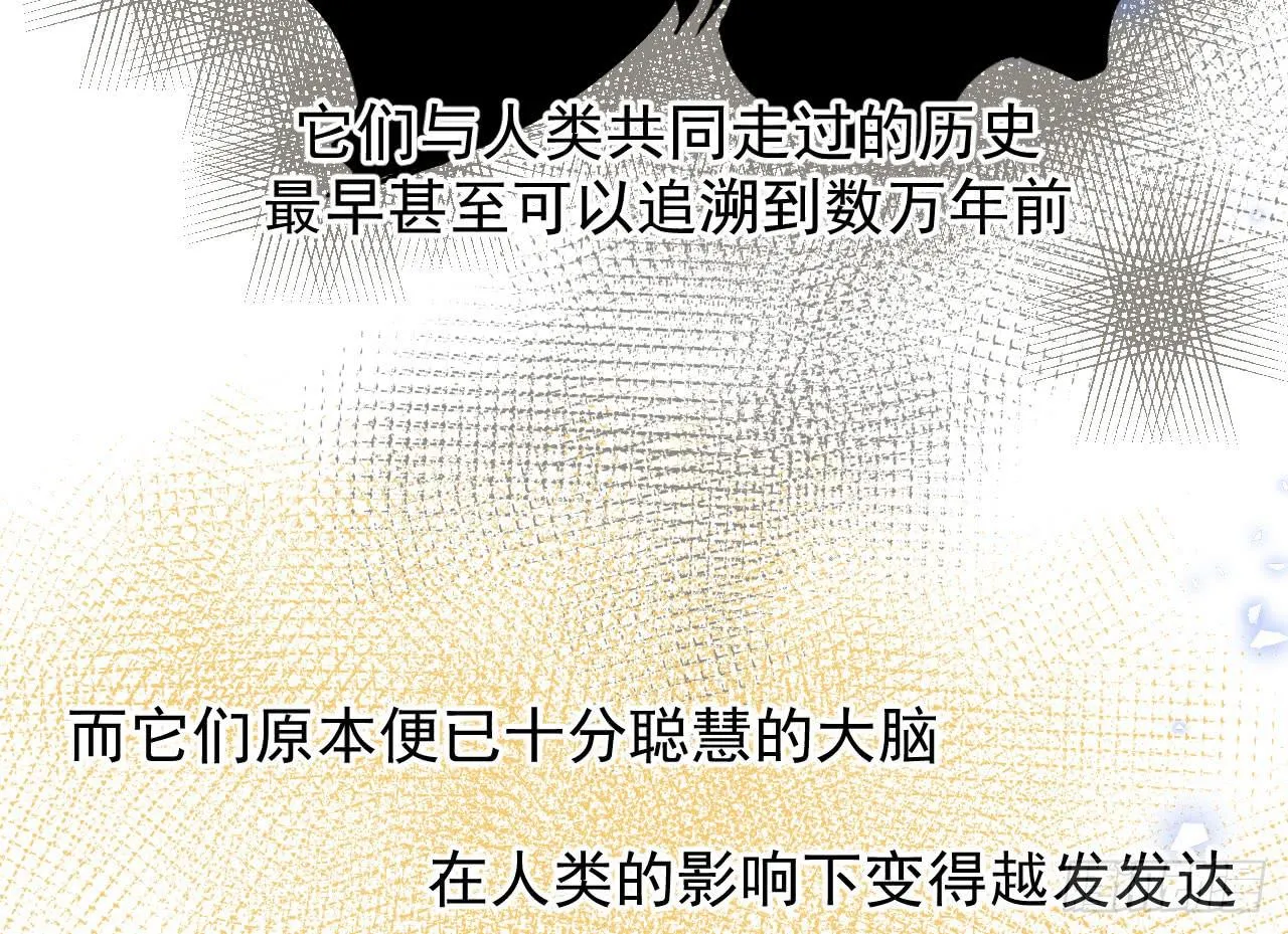 1.天狼 第17页