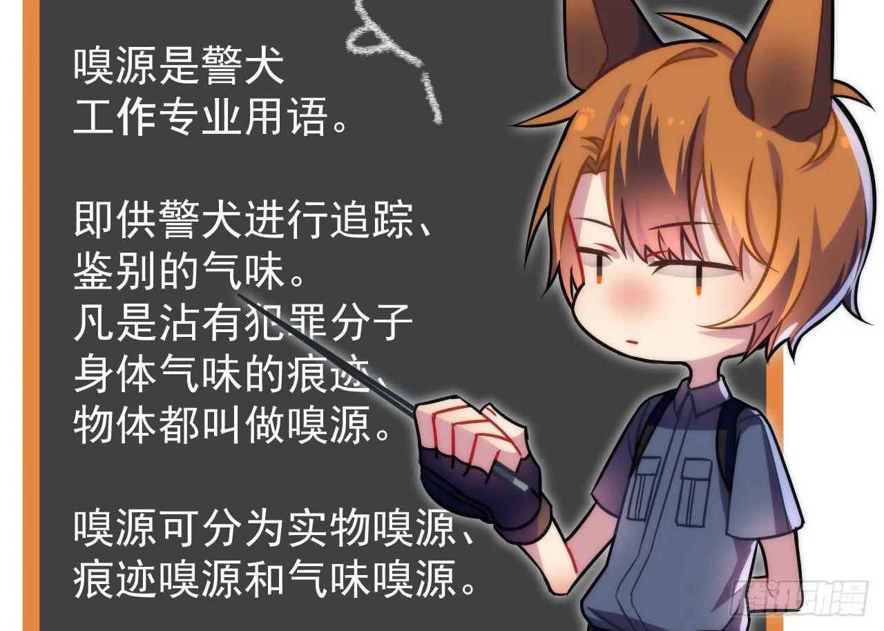 4.追迹 第95页