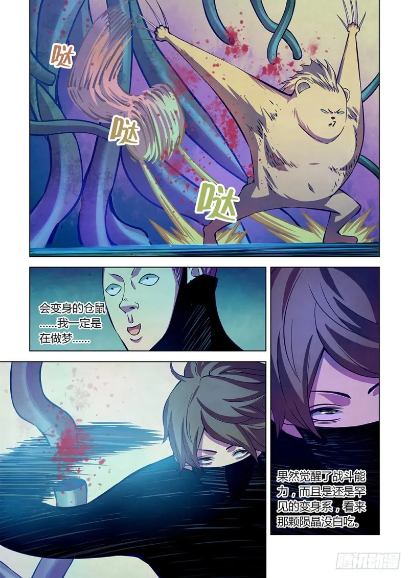 第213话 第11页