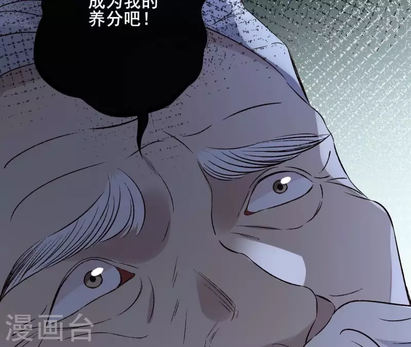 最终话 时长老之死 第13页