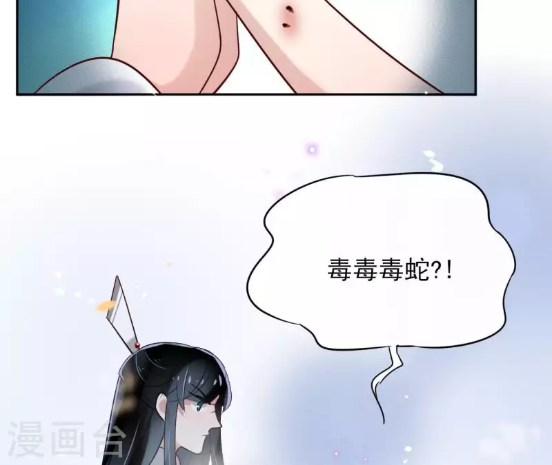 第6话 毒蛇 第40页