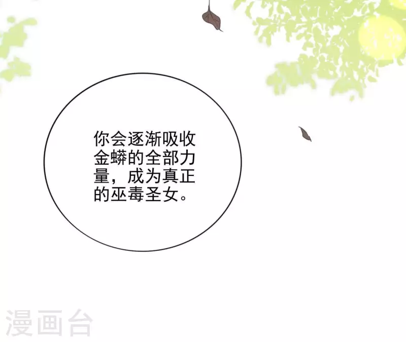 第52话 传承 第70页