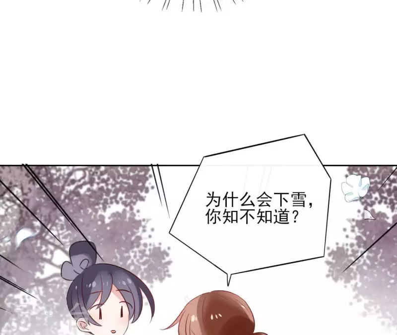 第53话 夏日落雪 第14页