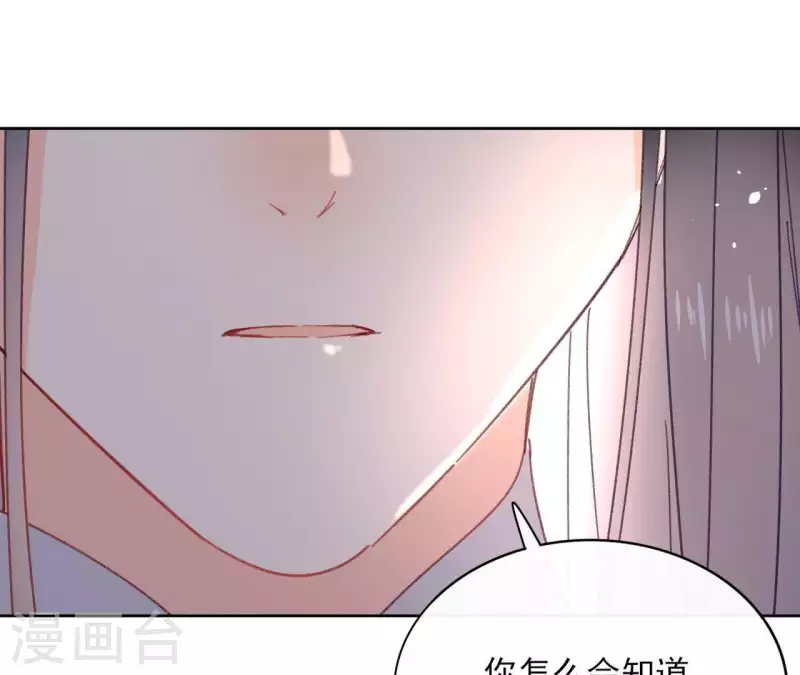 第73话 伪造密函 第4页